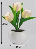 Lampe tulipe art et déco - Vignette | Lumière de Nuit